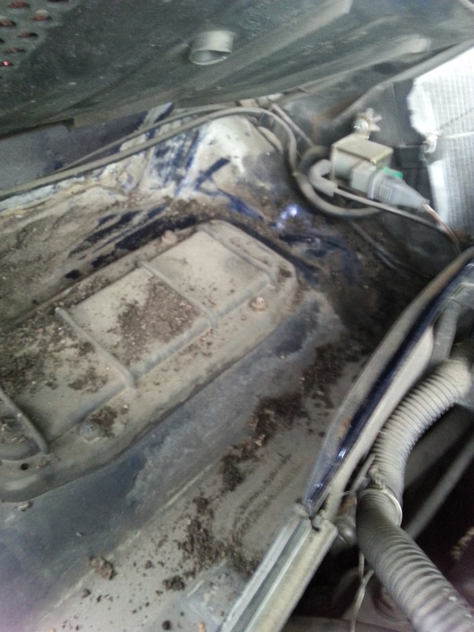 Фото в бортжурнале Opel Vectra B