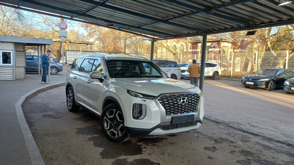 Hyundai Palisade Малыш
