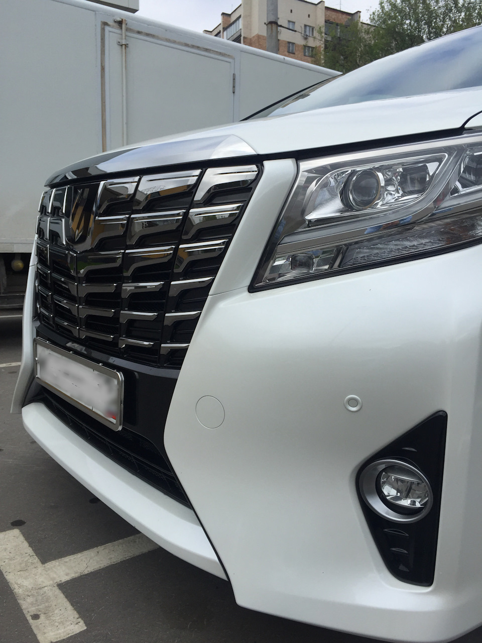 Рыба-кит! — Toyota Alphard (3G)
