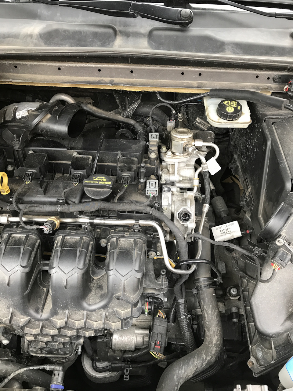 Фото в бортжурнале Ford Mondeo IV