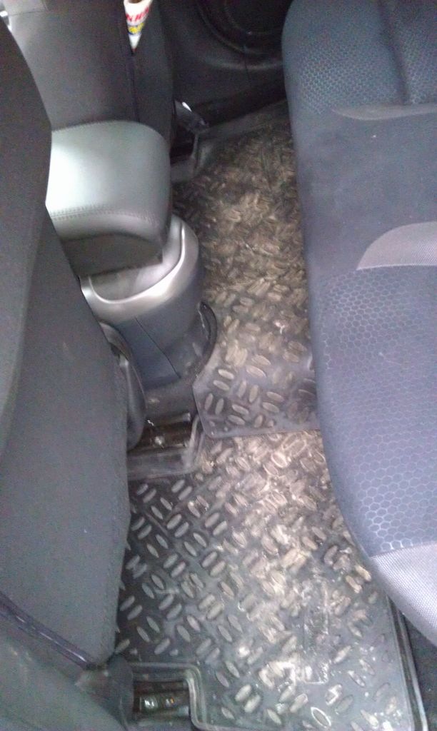 к задним ковриком из полуретана замечаний нет — Nissan Juke (1G)