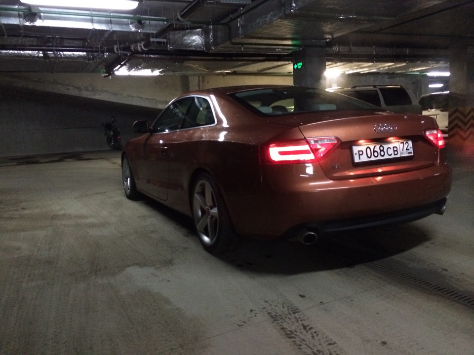 Фото в бортжурнале Audi A5 (1G)
