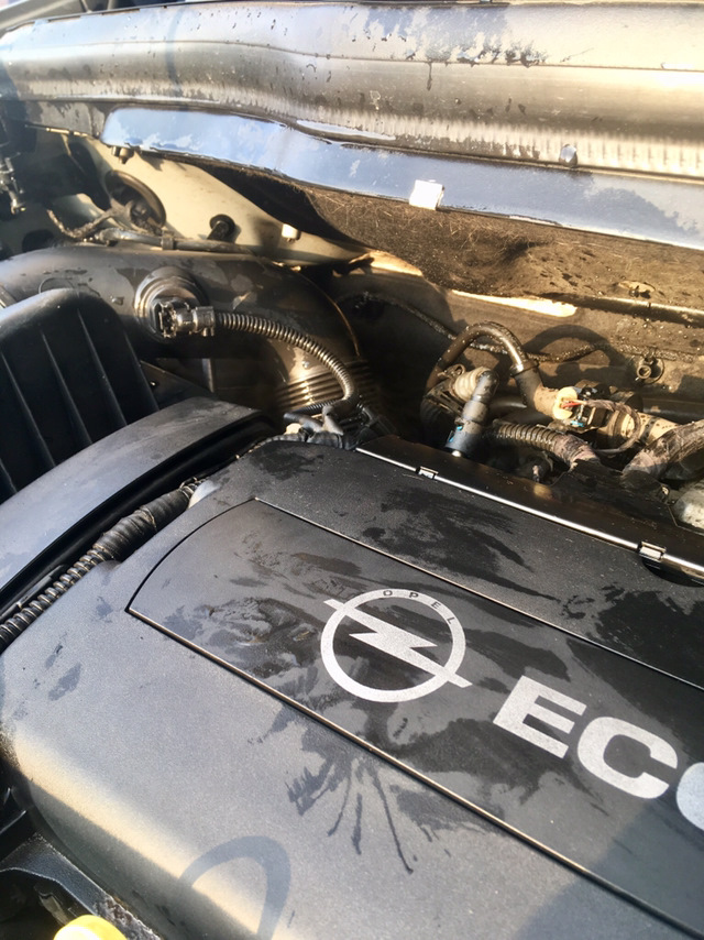 Фото в бортжурнале Opel Zafira B