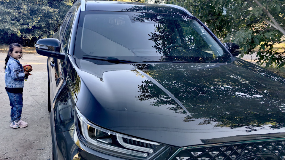 Chery Tiggo 8 Pro Черныш