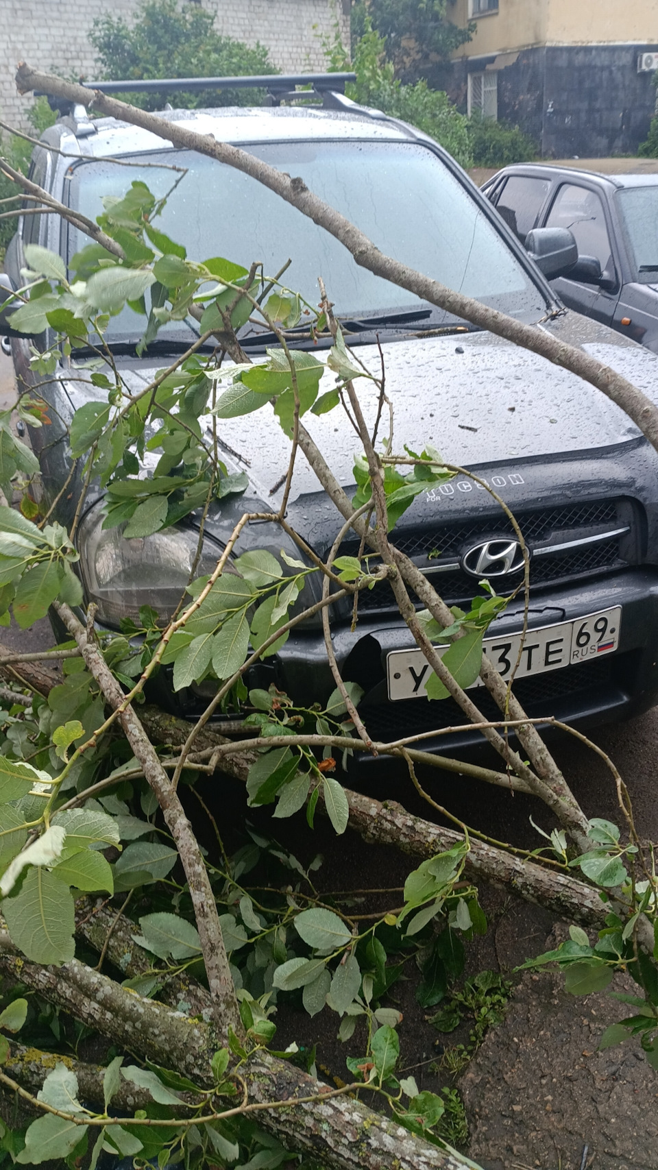 Фото в бортжурнале Hyundai Tucson (JM)