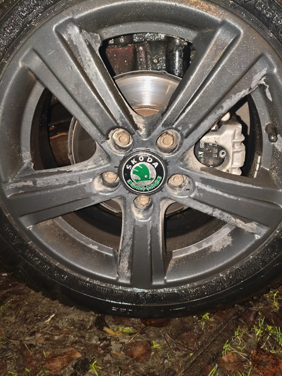 Фото в бортжурнале Skoda Octavia A4 Mk1