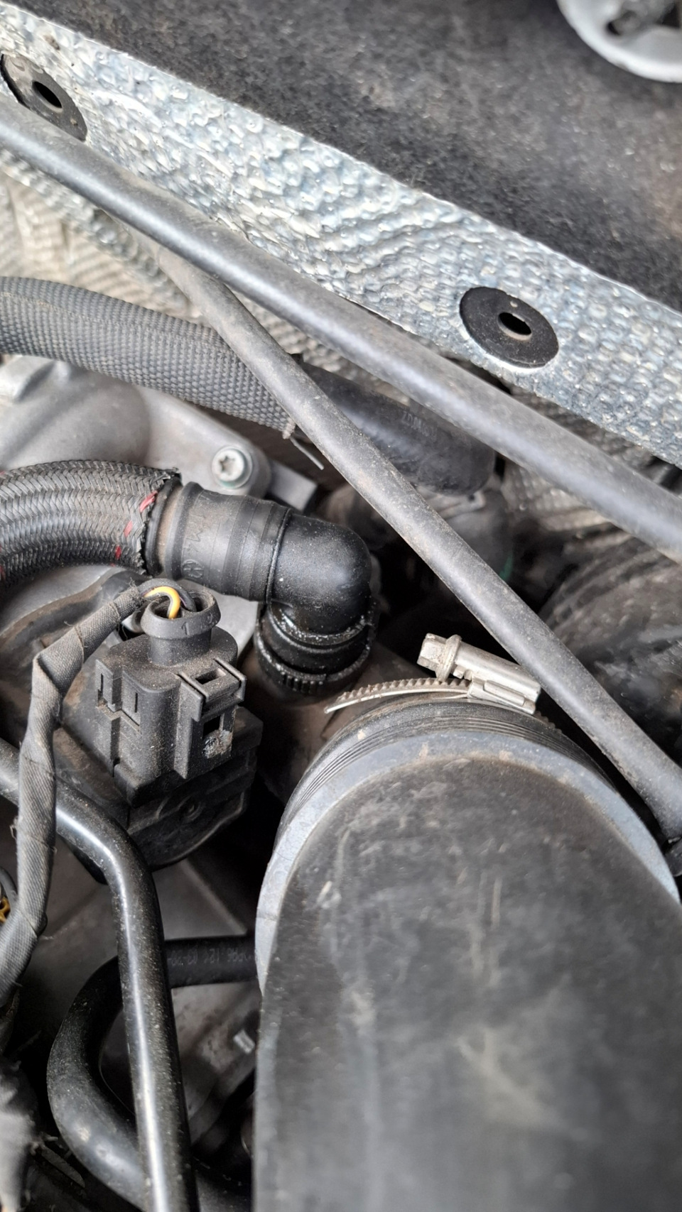 Фото в бортжурнале Skoda Octavia A7 Mk3