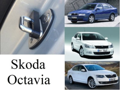 Фото в бортжурнале Skoda Octavia A7 Mk3