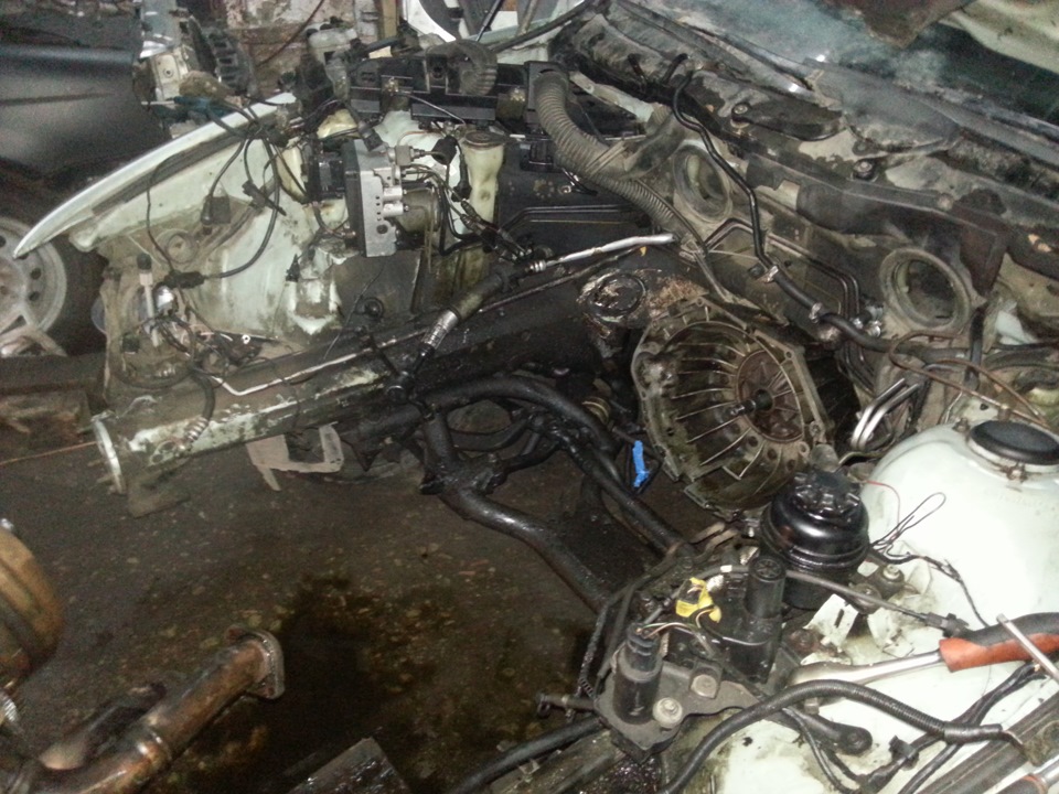 Фото в бортжурнале BMW 5 series (E39)