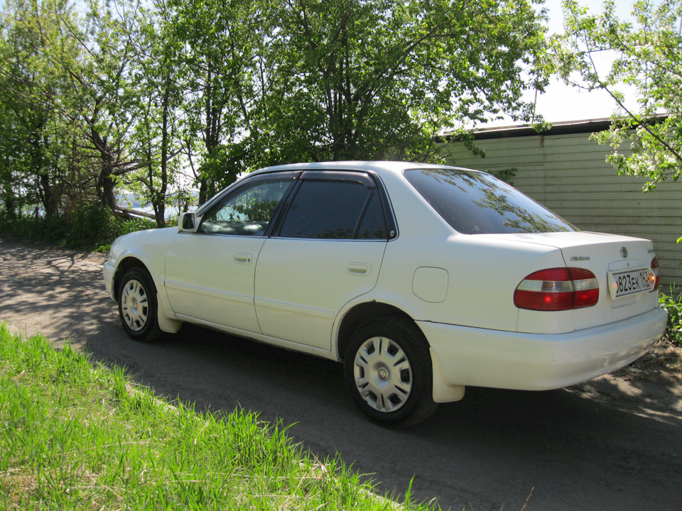Фото в бортжурнале Toyota Corolla (110)