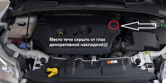 А течь-то спраталсо! — Ford Focus Sedan III