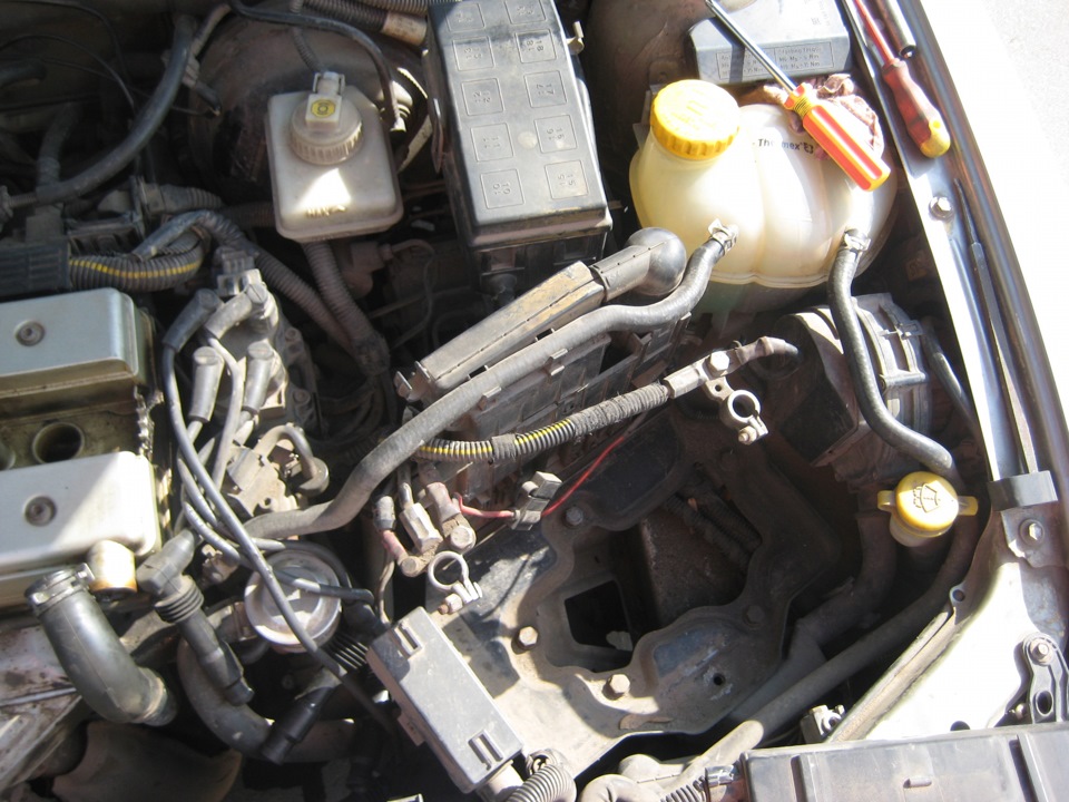 Фото в бортжурнале Opel Vectra B