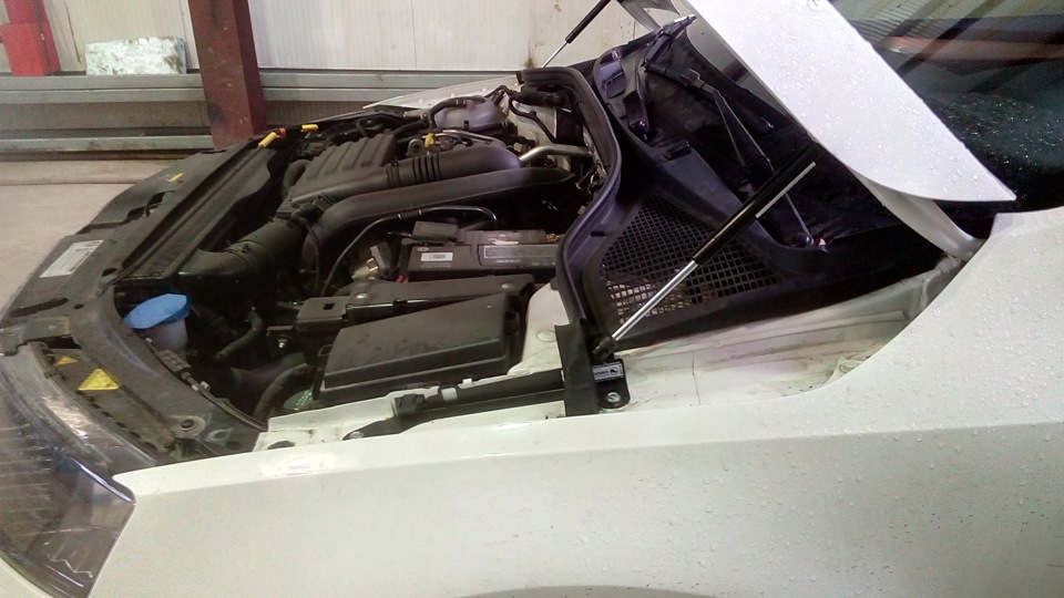 Фото в бортжурнале Skoda Octavia A7 Mk3