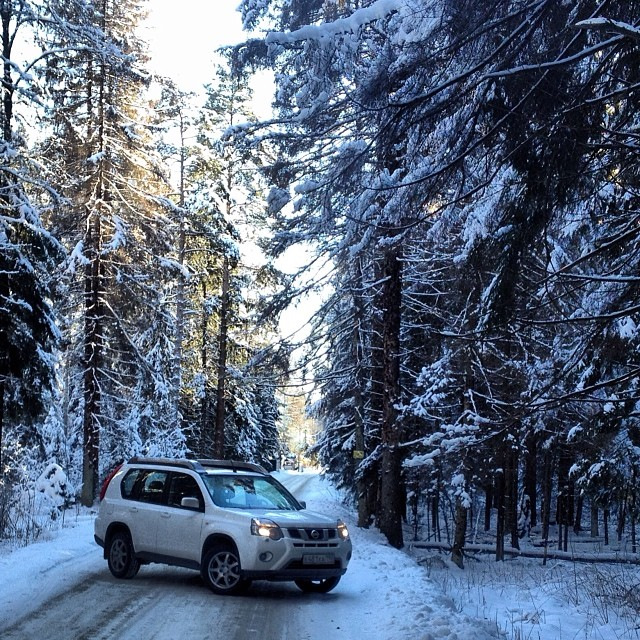 Фото в бортжурнале Nissan X-Trail II (t31)