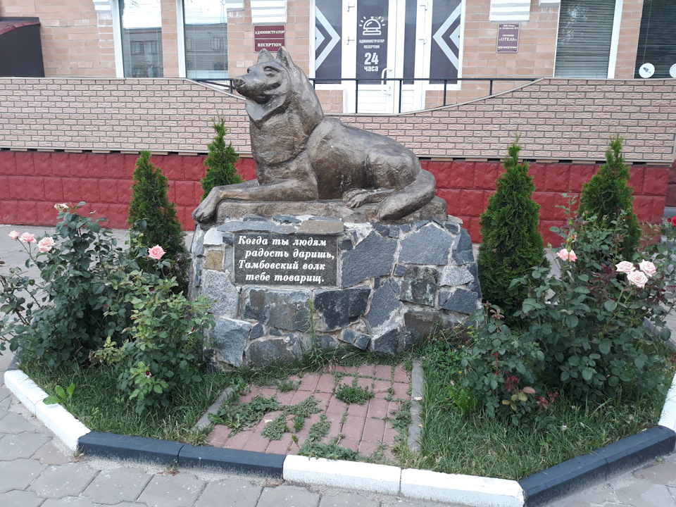 Фото в бортжурнале Lada Гранта Лифтбек (1G)