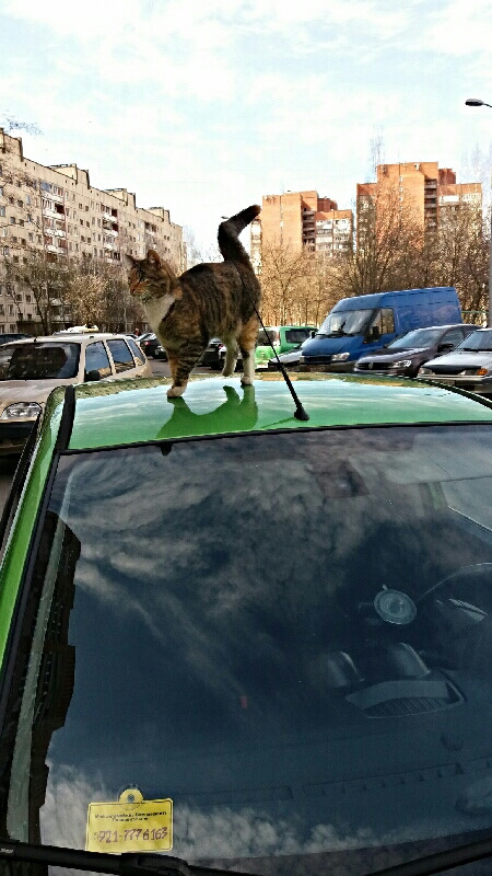 Фото в бортжурнале Ford Fiesta (Mk V)