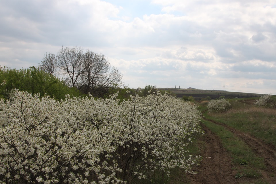 Фото в бортжурнале УАЗ 469