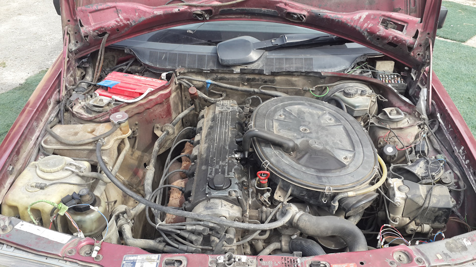 Фото в бортжурнале Mercedes-Benz 190 (W201)