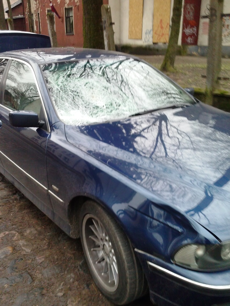 Фото в бортжурнале BMW 5 series (E39)