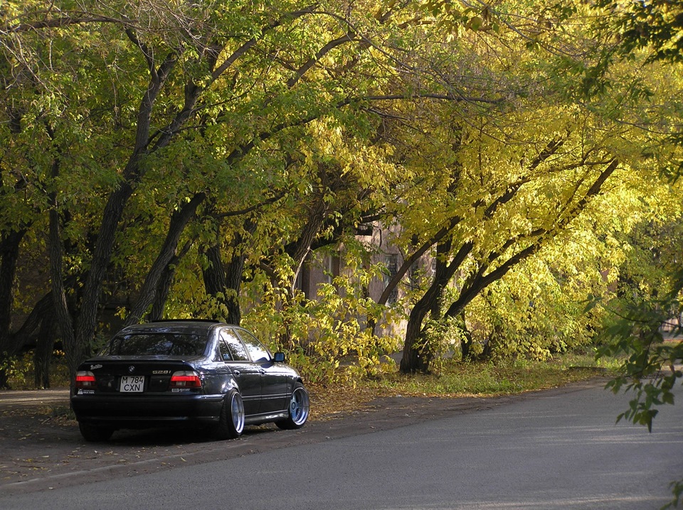 Фото в бортжурнале BMW 5 series (E39)