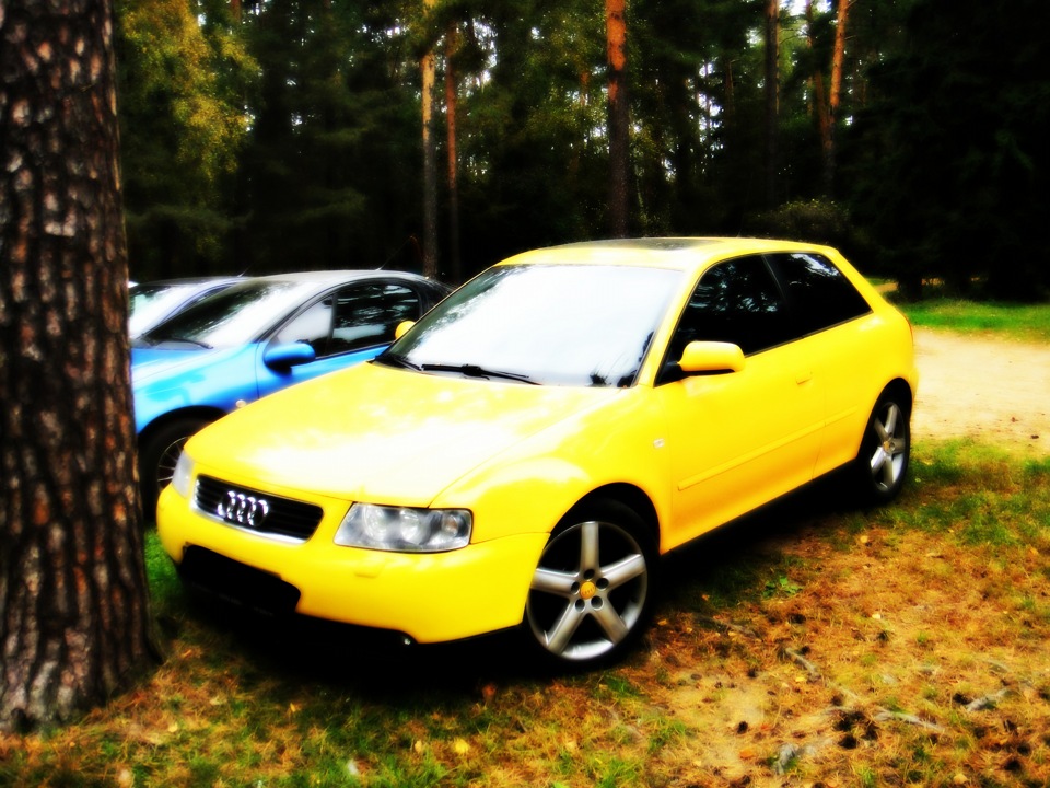 Фото в бортжурнале Opel Tigra