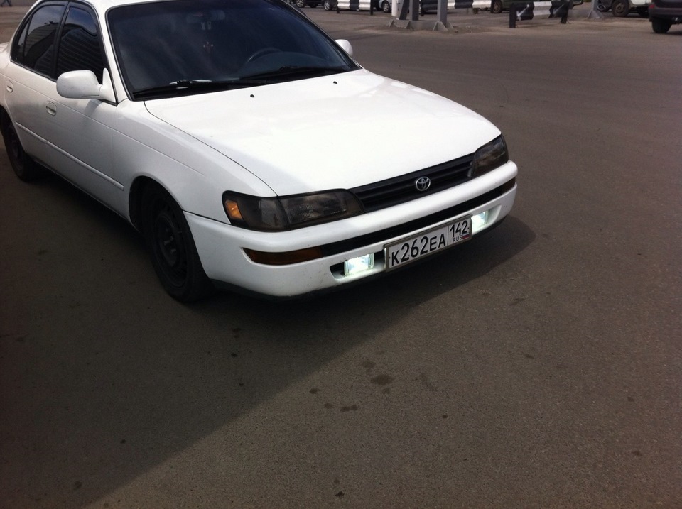 Фото в бортжурнале Toyota Corolla (100)