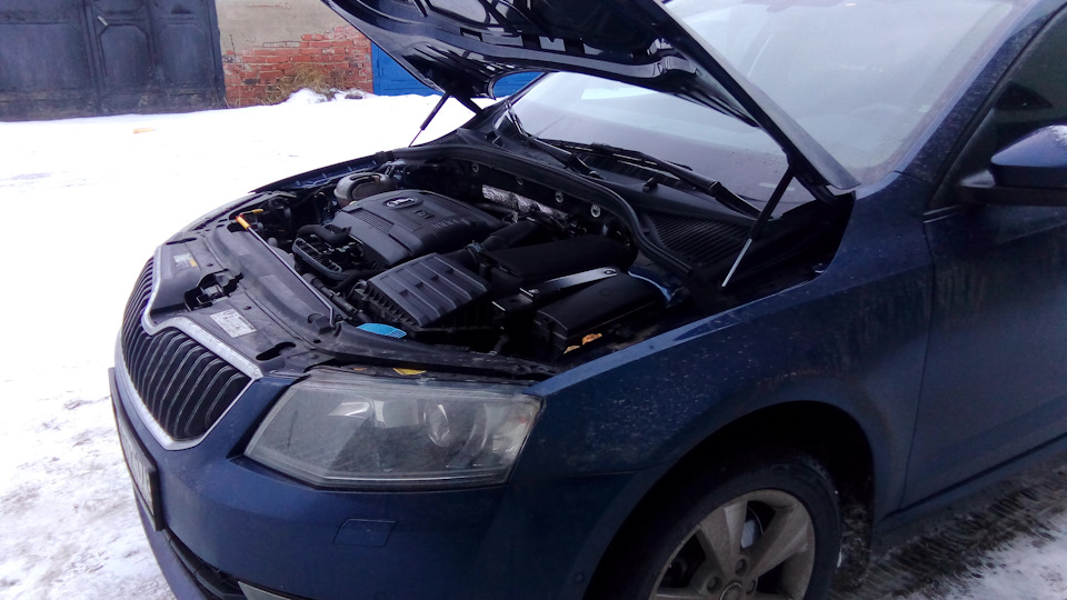 Вот так теперь это выглядит. — Skoda Octavia A7 Mk3