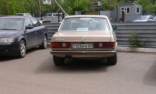 Фото в бортжурнале Mercedes-Benz W123