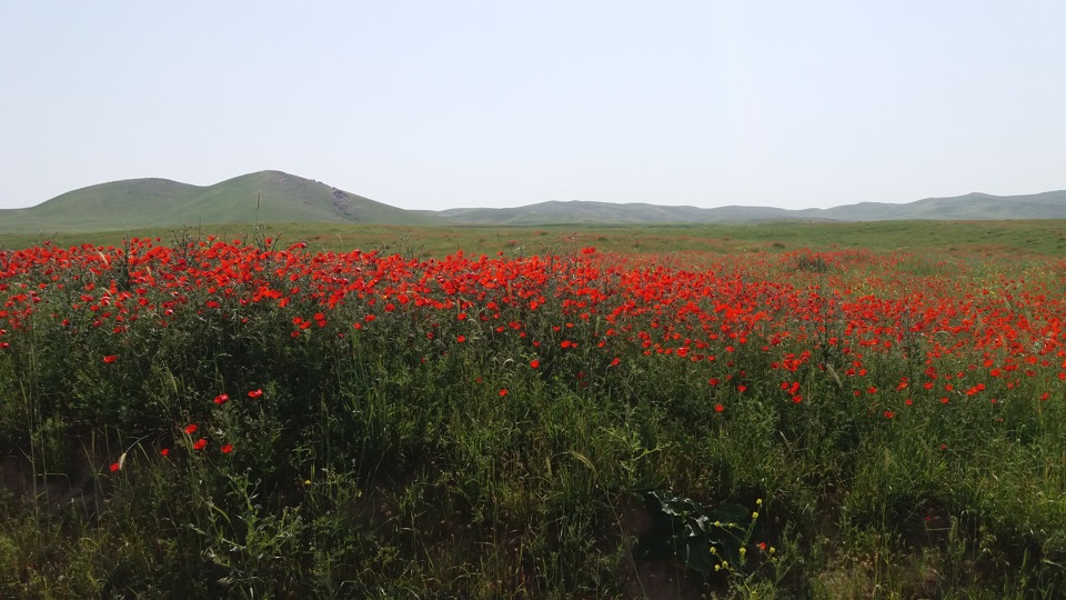 Фото в бортжурнале ГАЗ 69