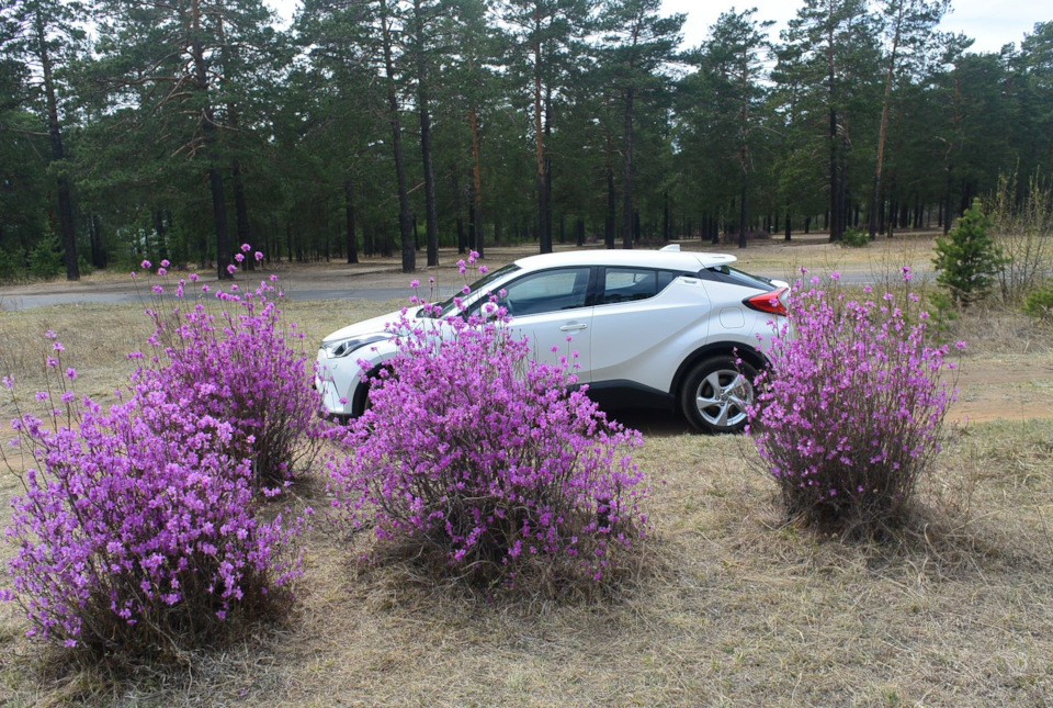 Photo from the logbook Geely Atlas (2G)