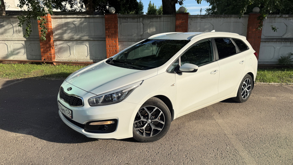 KIA Ceed SW White Shark