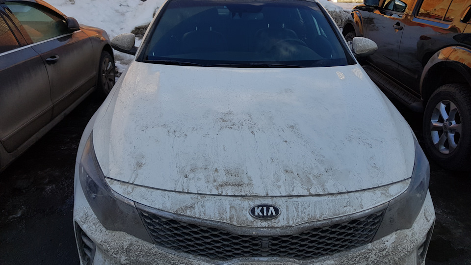 KIA Optima селедка