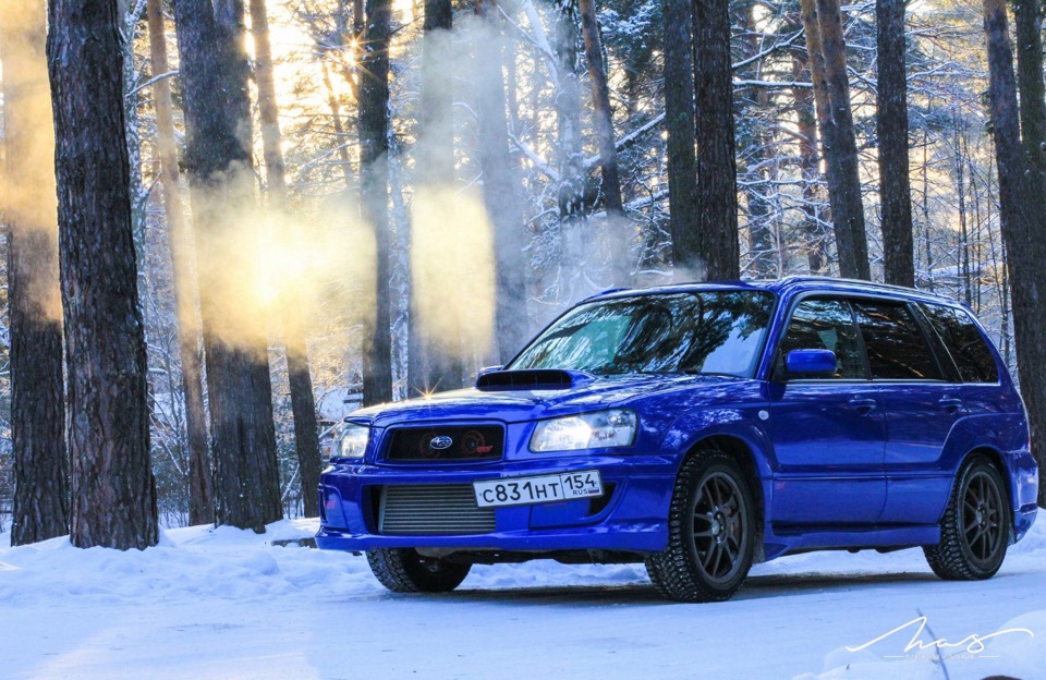 Фото в бортжурнале Subaru Forester (SG)