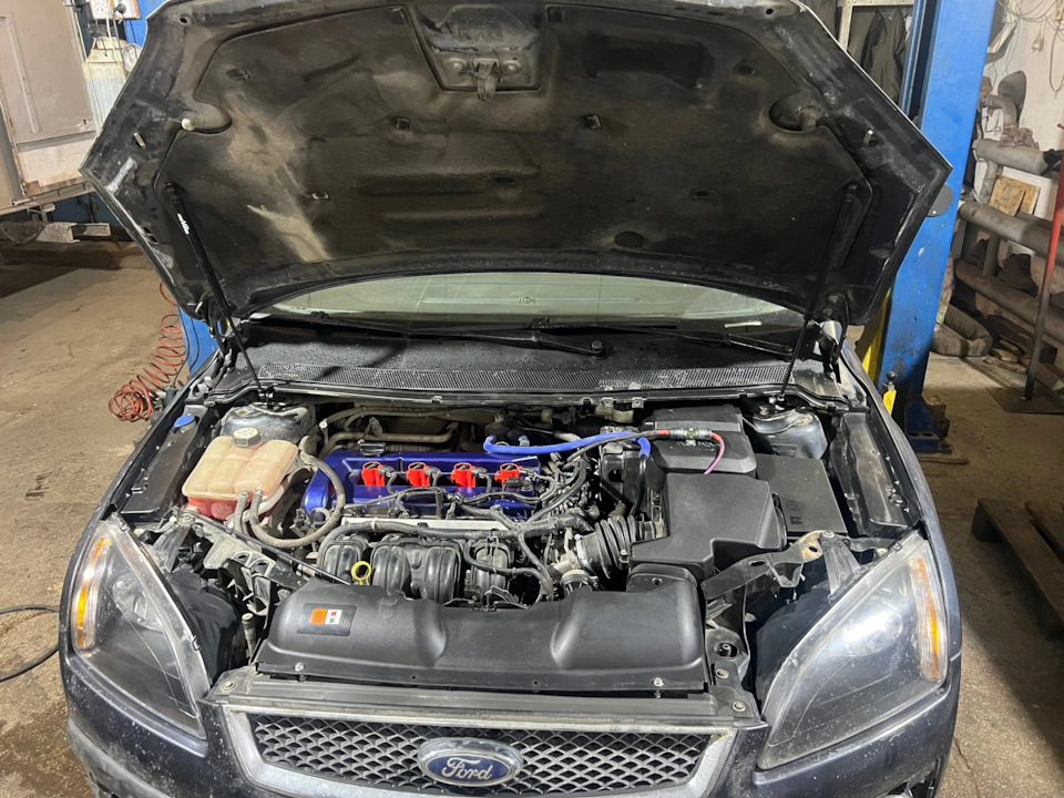 Фото в бортжурнале Ford Focus Hatchback II
