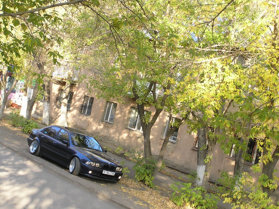 Фото в бортжурнале BMW 5 series (E39)