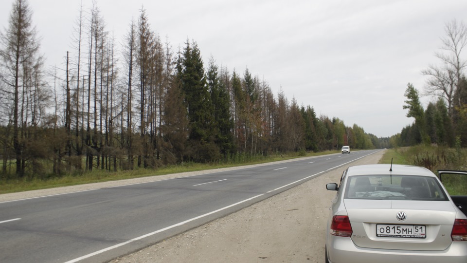 Volkswagen Polo Sedan серебристо золотистый