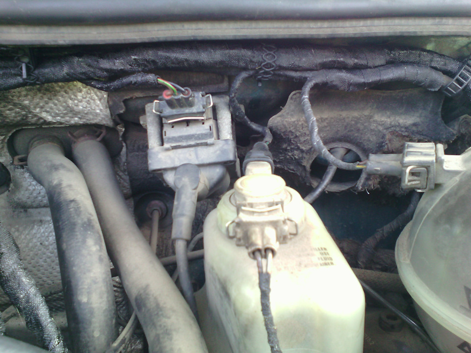 Фото в бортжурнале Volkswagen Passat Variant (B3)