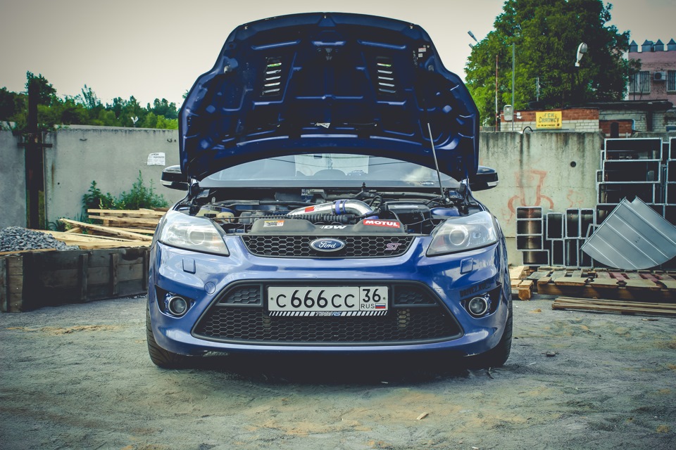 Федор тоже доволен))) — Ford Focus ST II