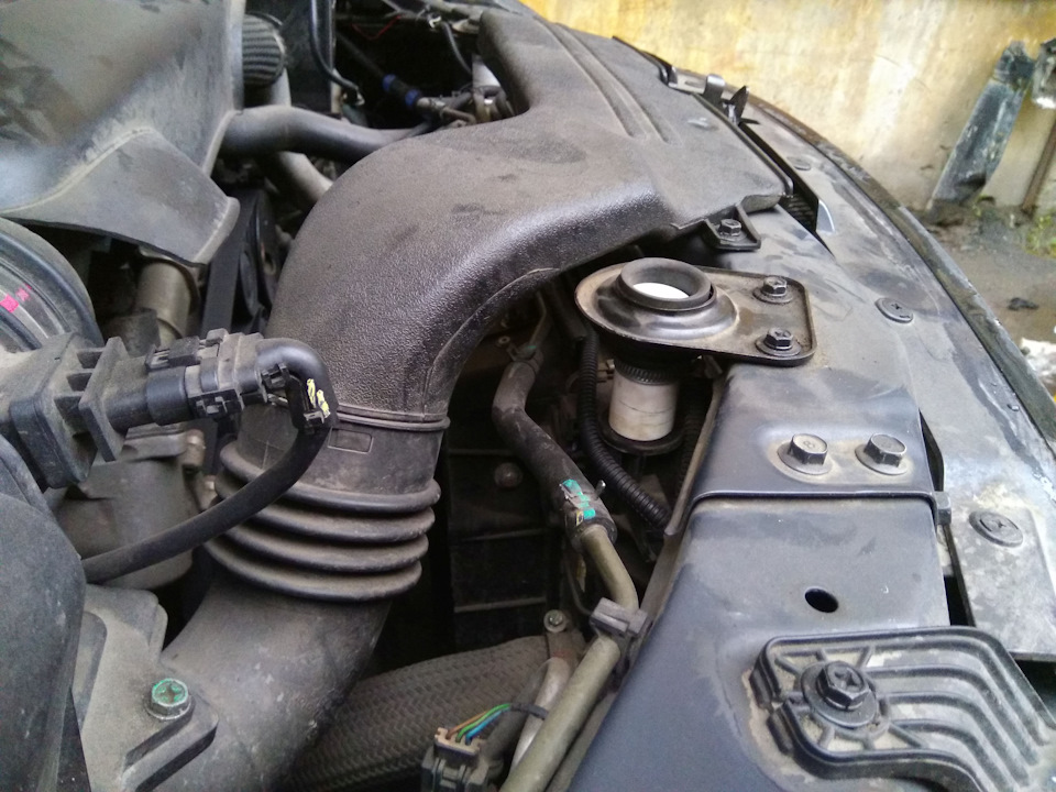 Фото в бортжурнале SsangYong Kyron