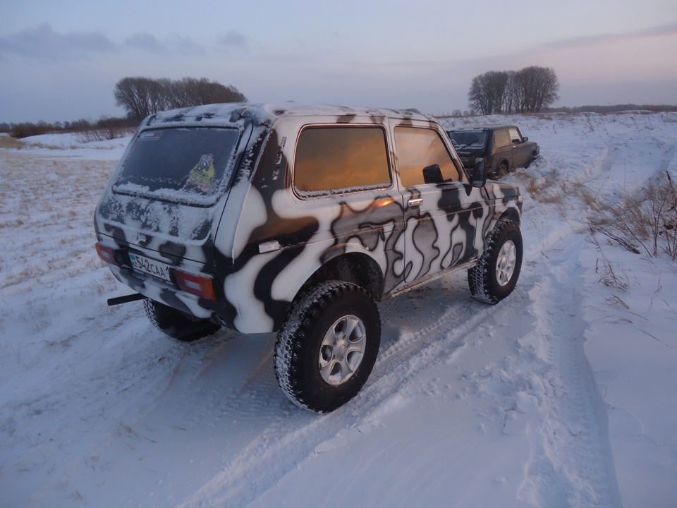 Фото в бортжурнале Lada 4x4 3D