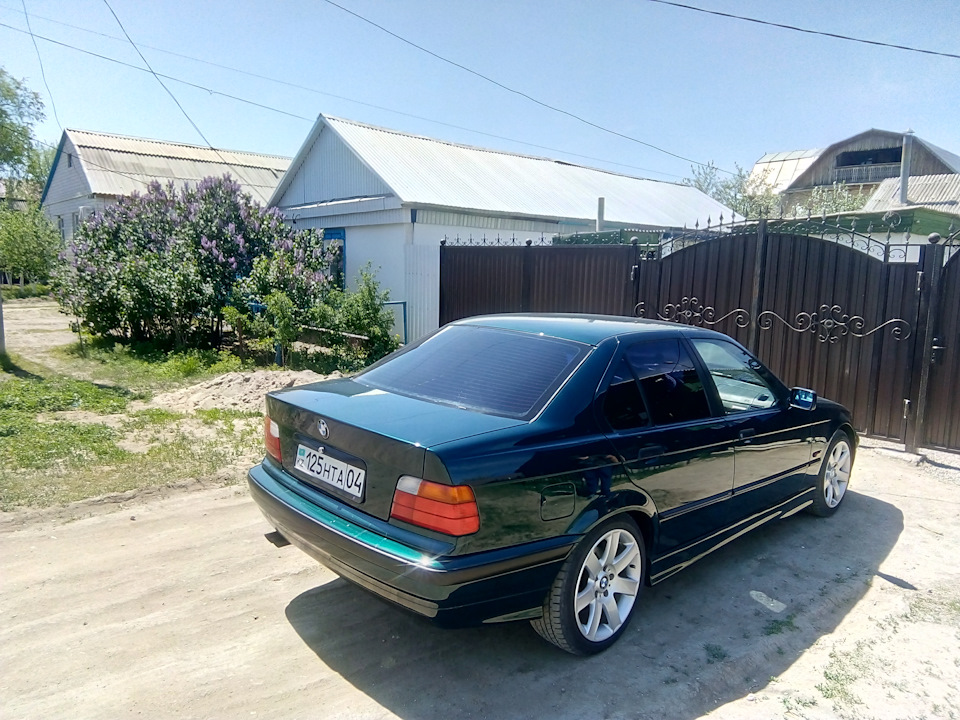 Фото в бортжурнале BMW 3 series (E36)