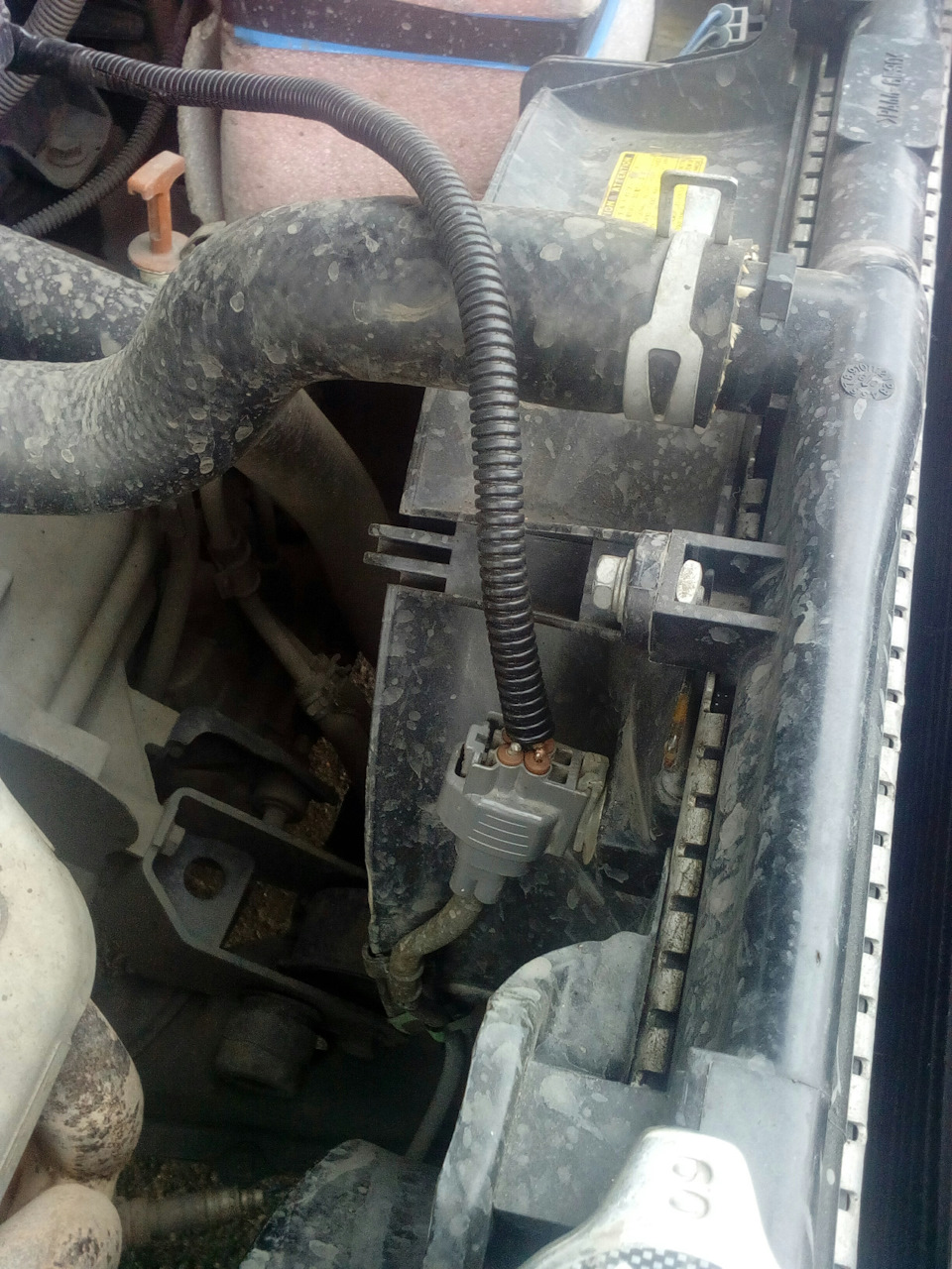 Photo from the logbook Toyota Corona Premio (T210)