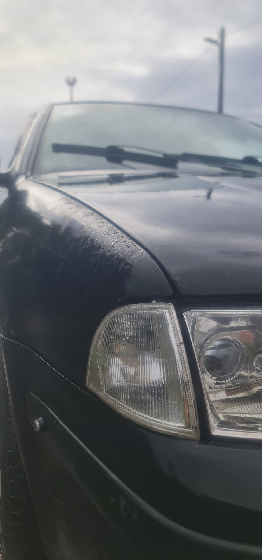 И вот так на закрытом — Skoda Octavia A4 Mk1