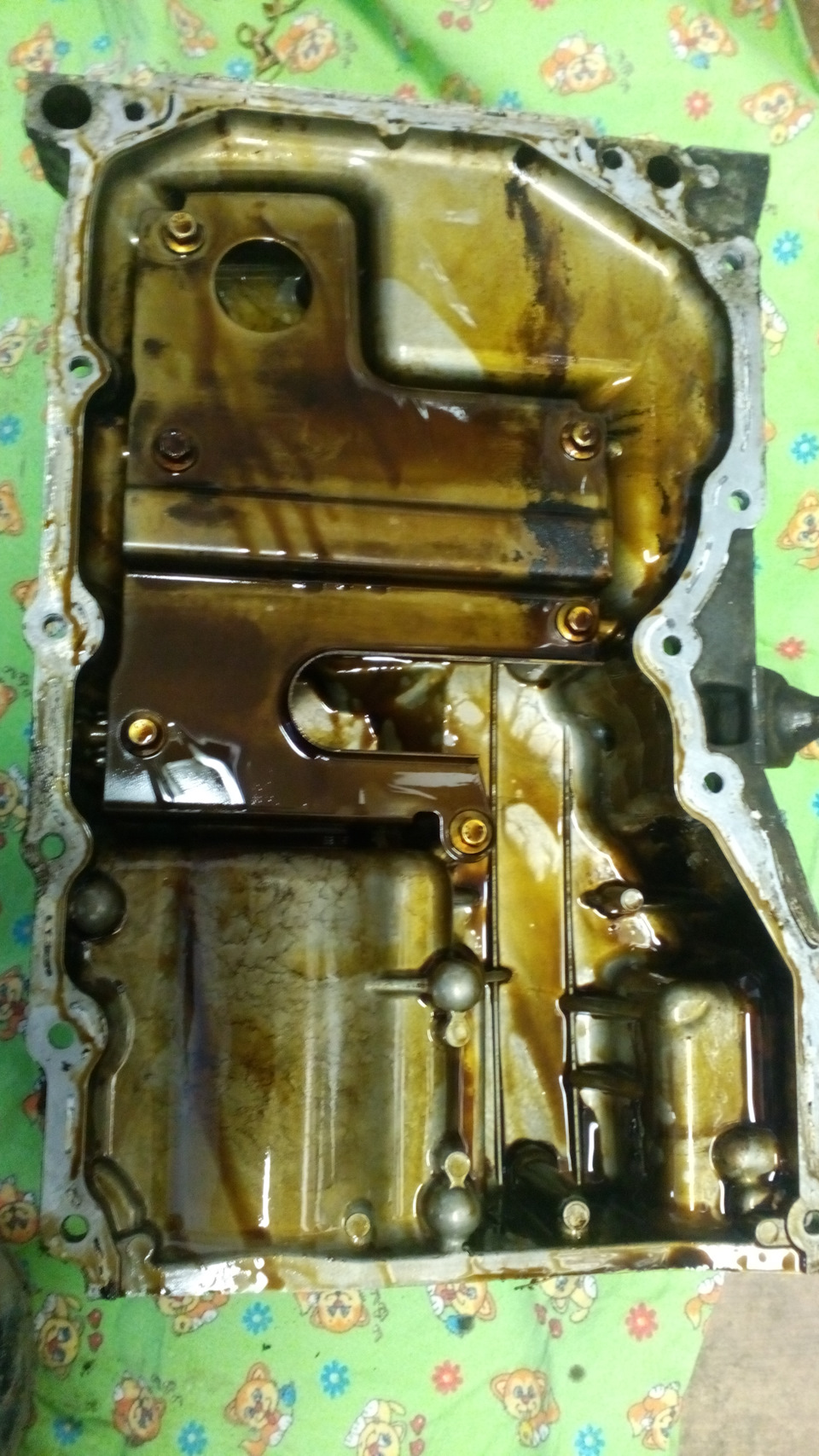 Фото в бортжурнале Ford Focus Hatchback II