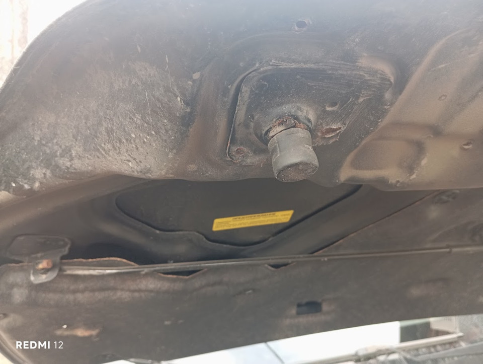 Фото в бортжурнале Nissan X-Trail II (t31)