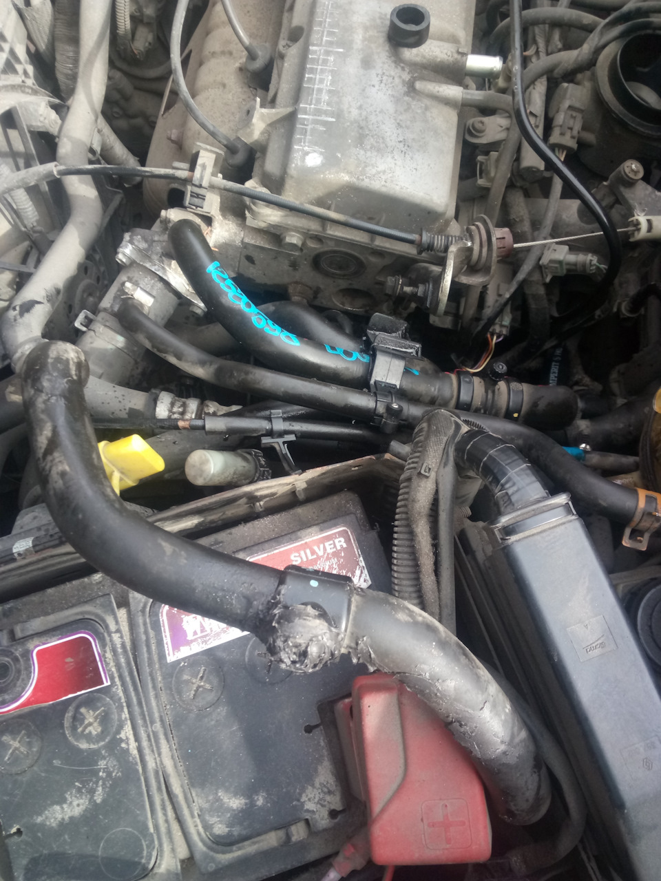 Вот эта гнида 😂 — Renault Kangoo (1G)