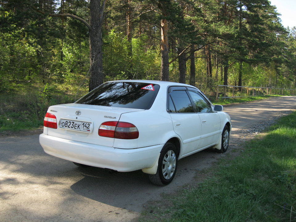 Фото в бортжурнале Toyota Corolla (110)