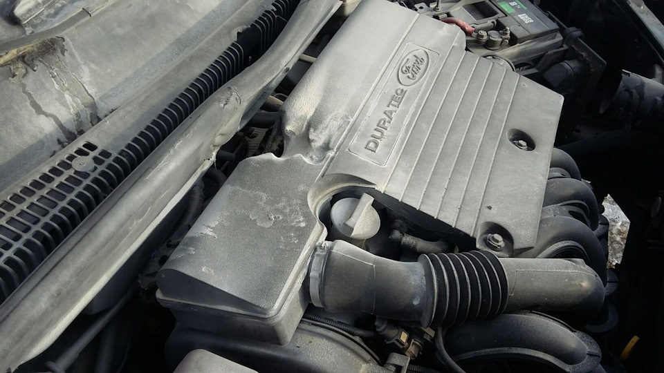 Фото в бортжурнале Ford Fusion