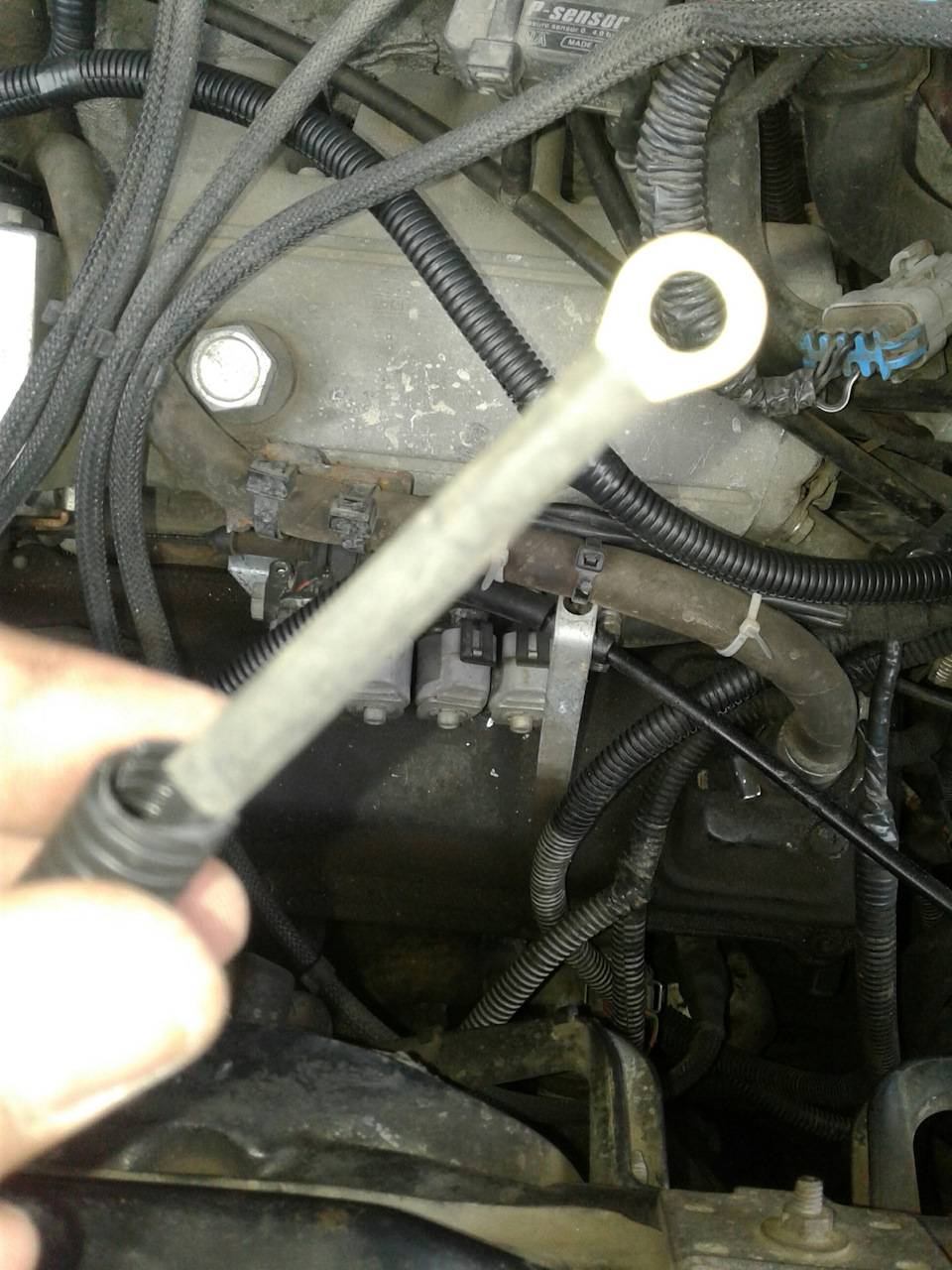Фото в бортжурнале Volkswagen Transporter T4