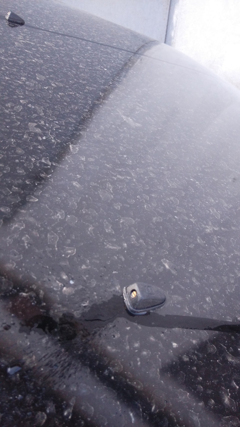 Фото в бортжурнале Honda Stepwgn (1G)